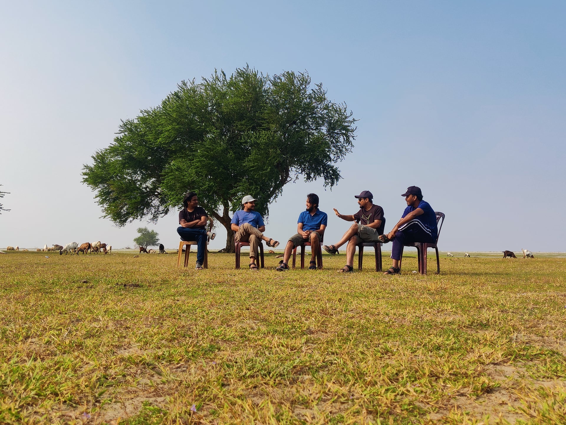 My most favorite tree at Dhal Char