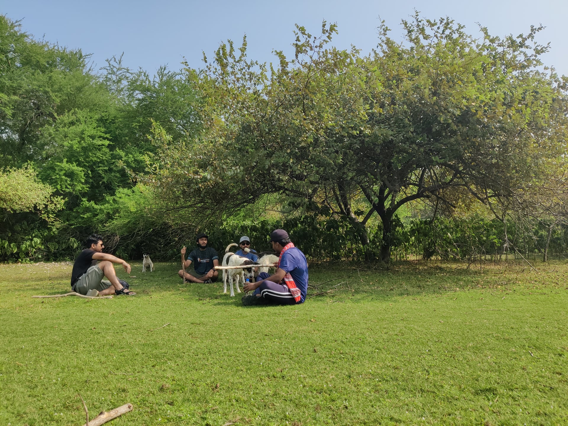 Before Entering the Mangrove forest