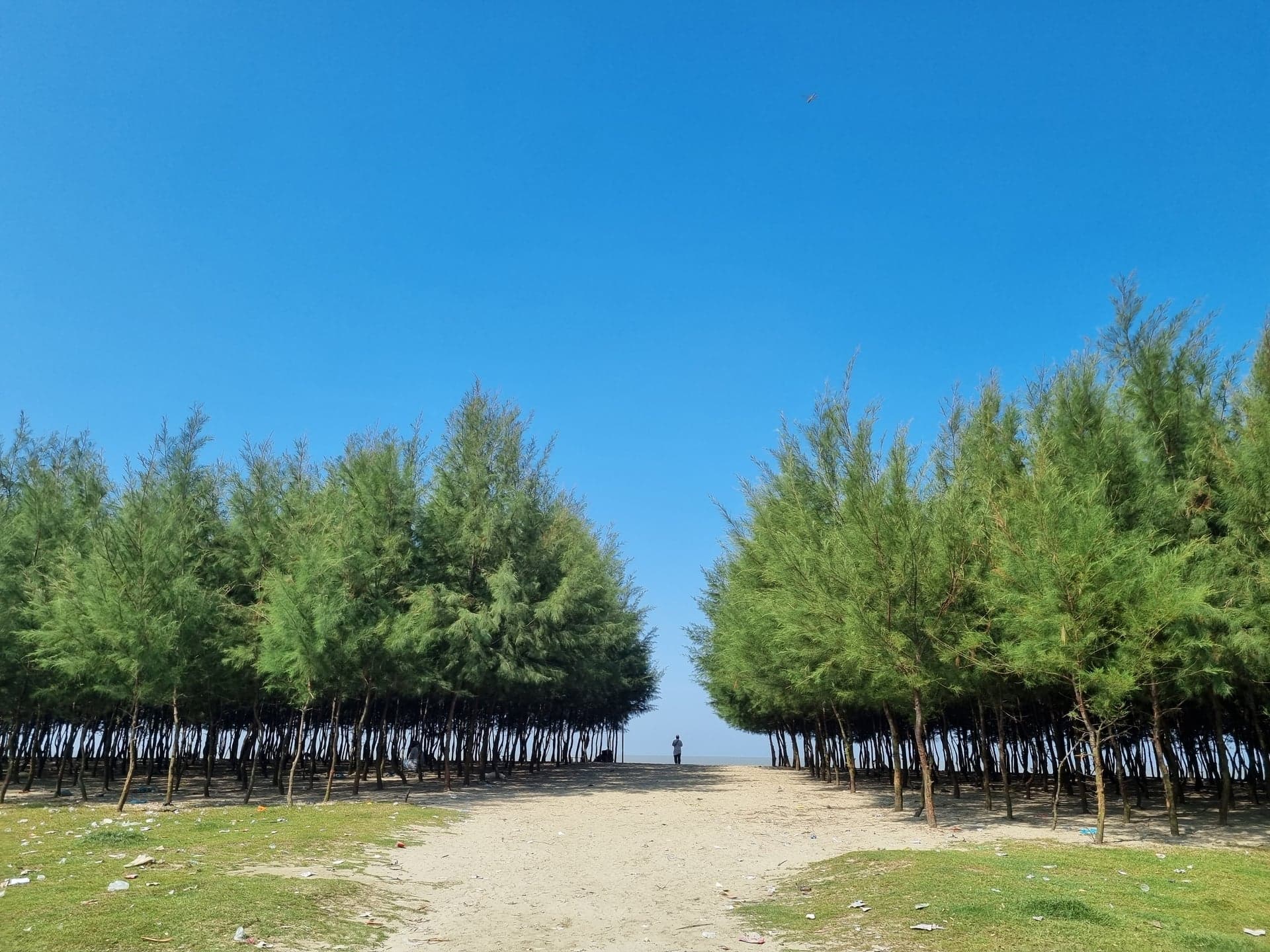 Jhawban at the west bank of Kutubdia