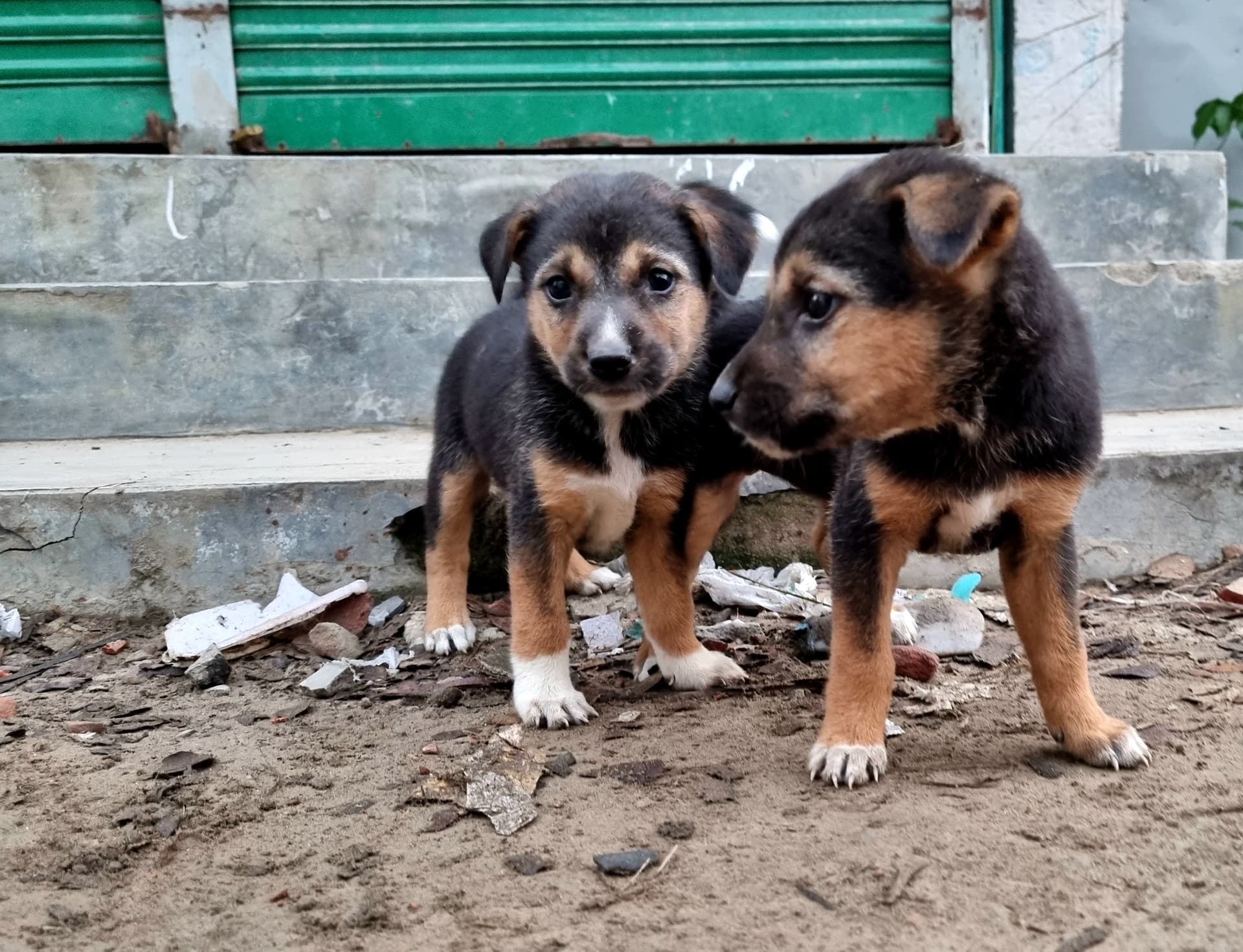 Manpura - 20240225_061753