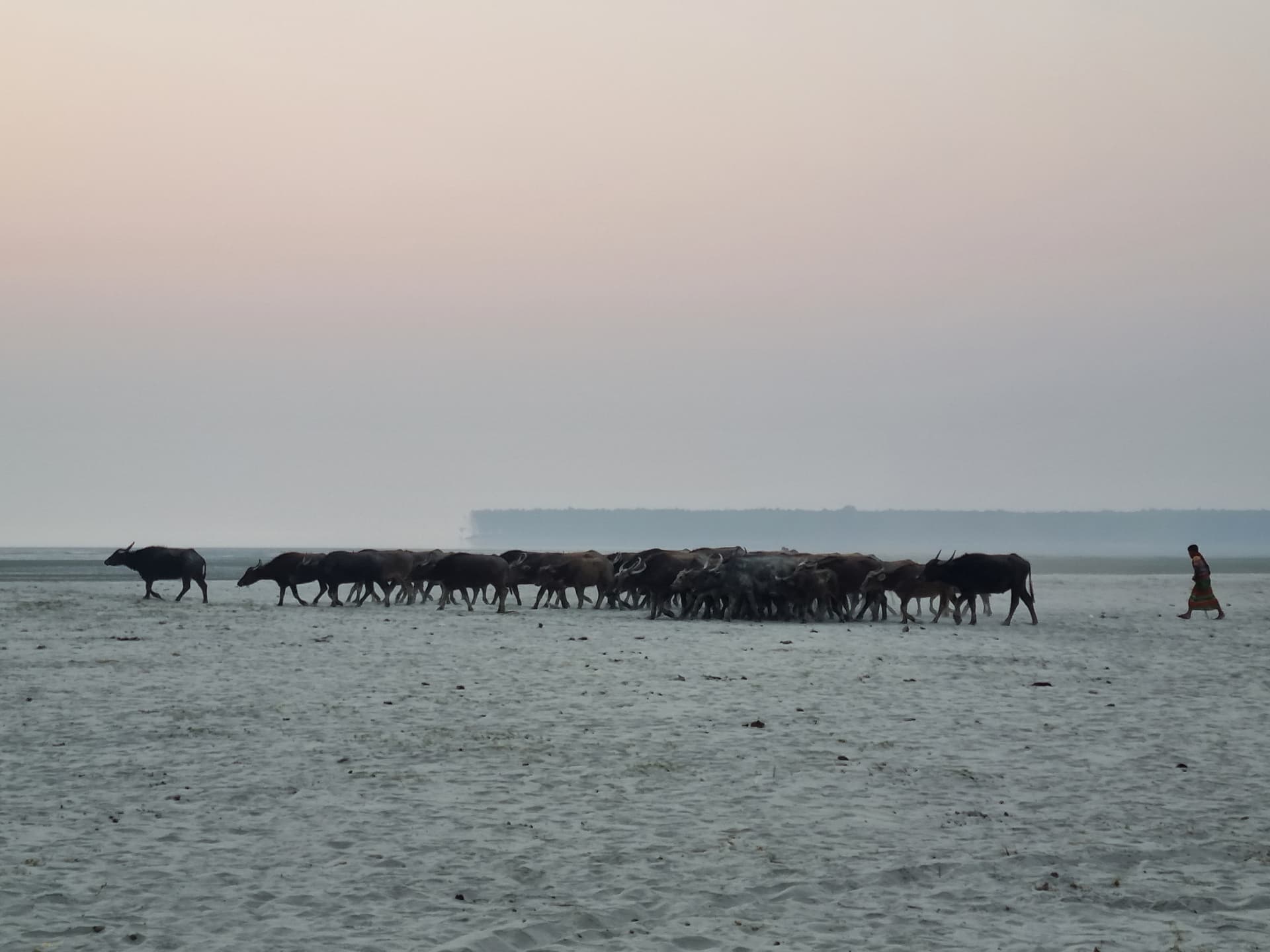 Nijhum Dwip - 20241228_171919